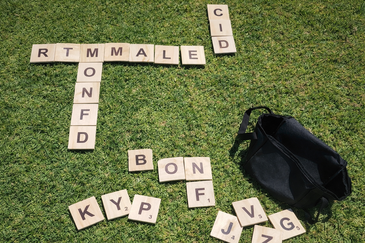 Giant Yard Scrabble Rental