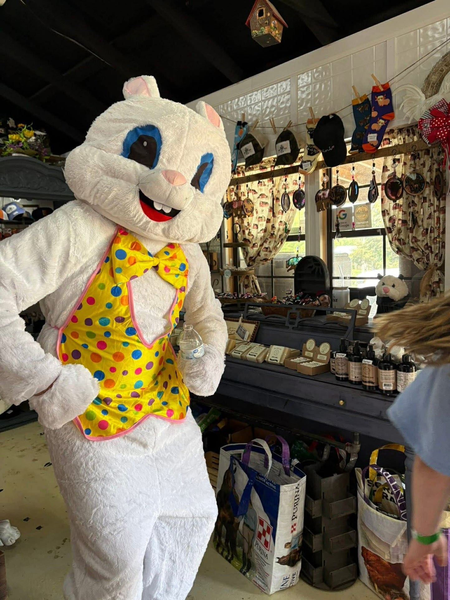🐰 Easter Bunny Actor for Your Event